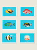 Reef Fish - Postcard Set