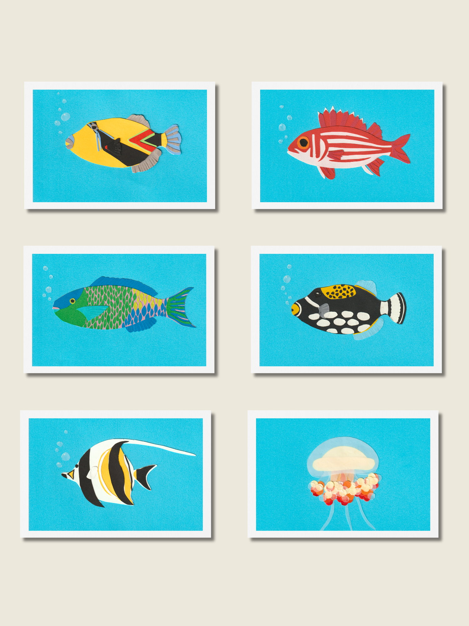 Reef Fish - Postcard Set