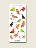 Native Birds Sticker Sheet
