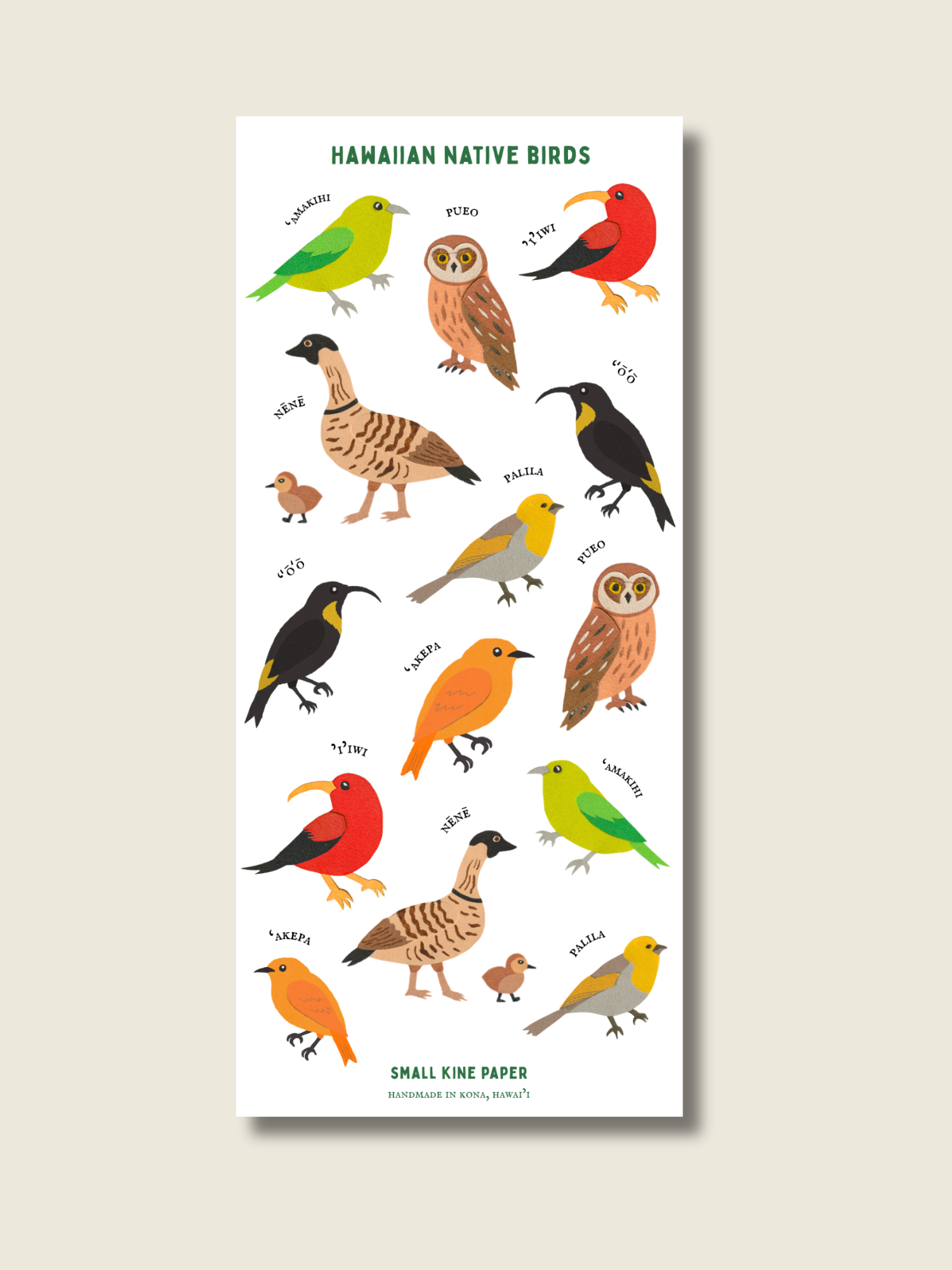 Native Birds Sticker Sheet