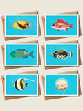 Reef Fish - Folded Card Set