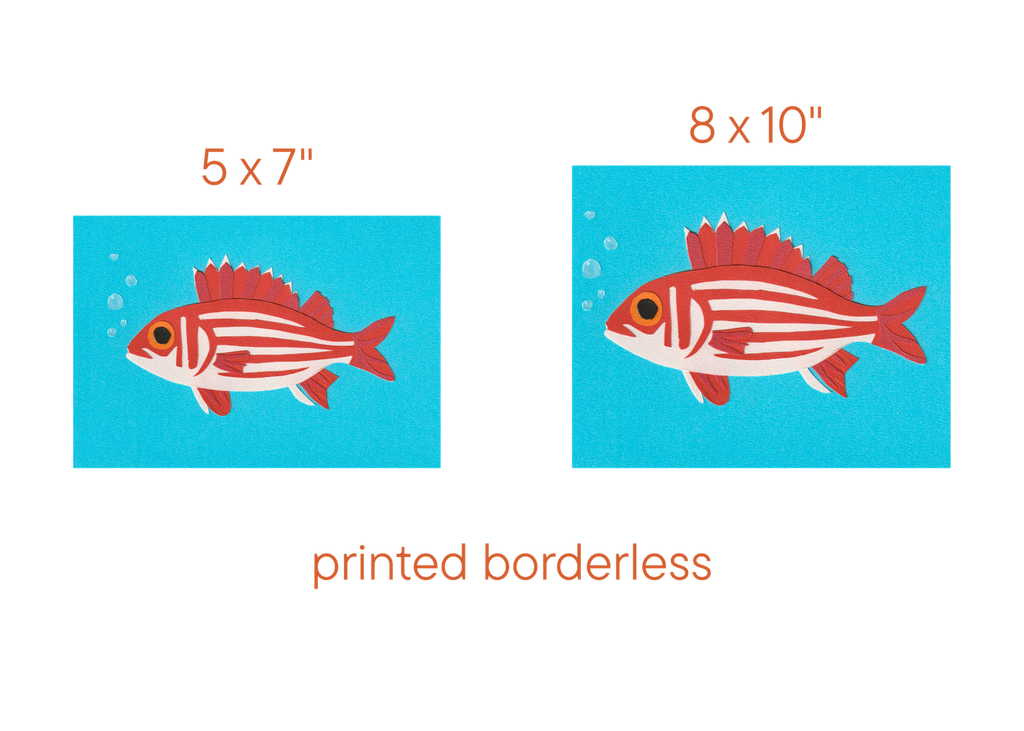 Hawaiian Squirrelfish - Print