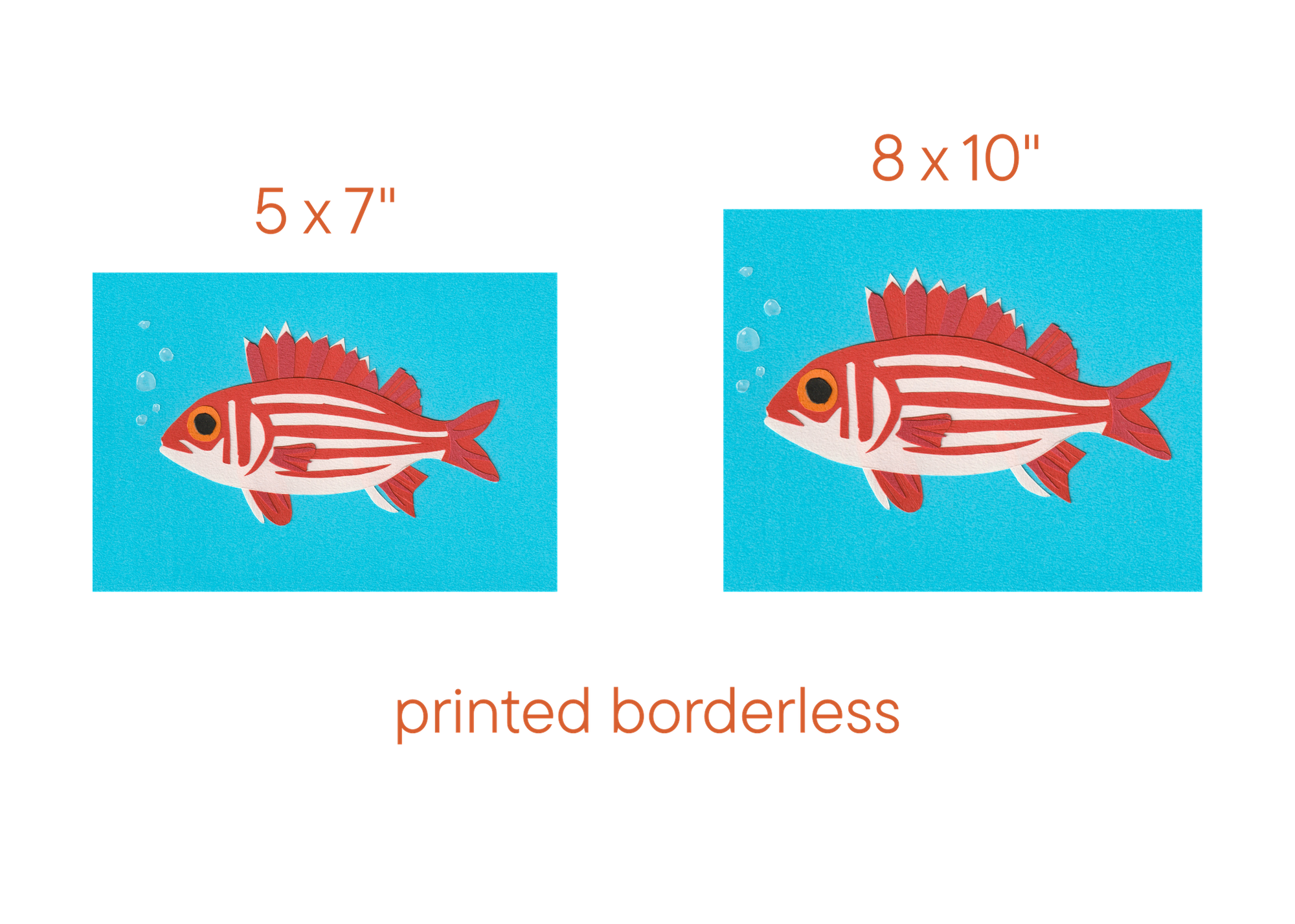Hawaiian Squirrelfish - Print