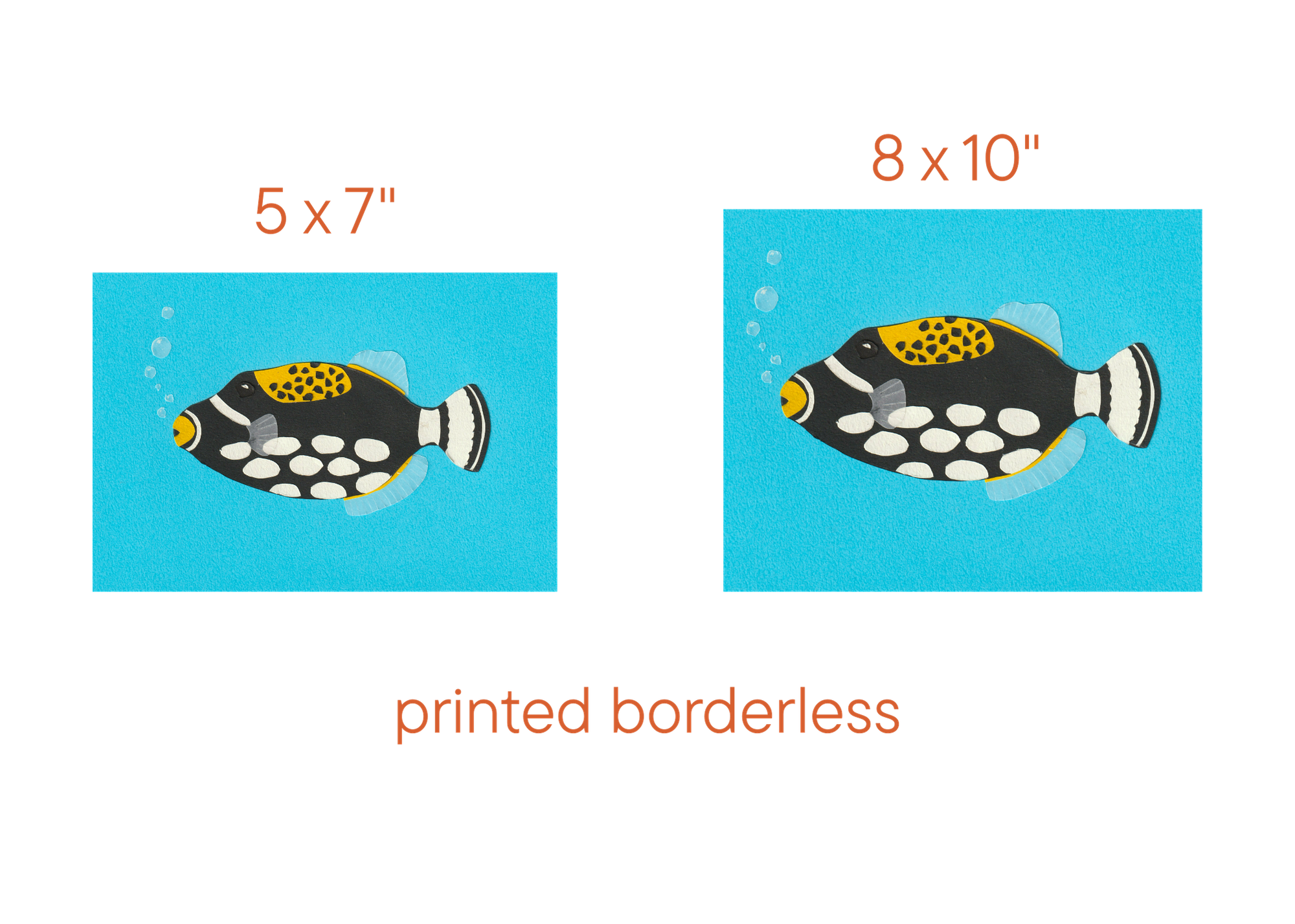 Clown Triggerfish - Print