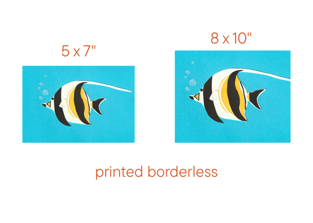 Moorish Idol - Print