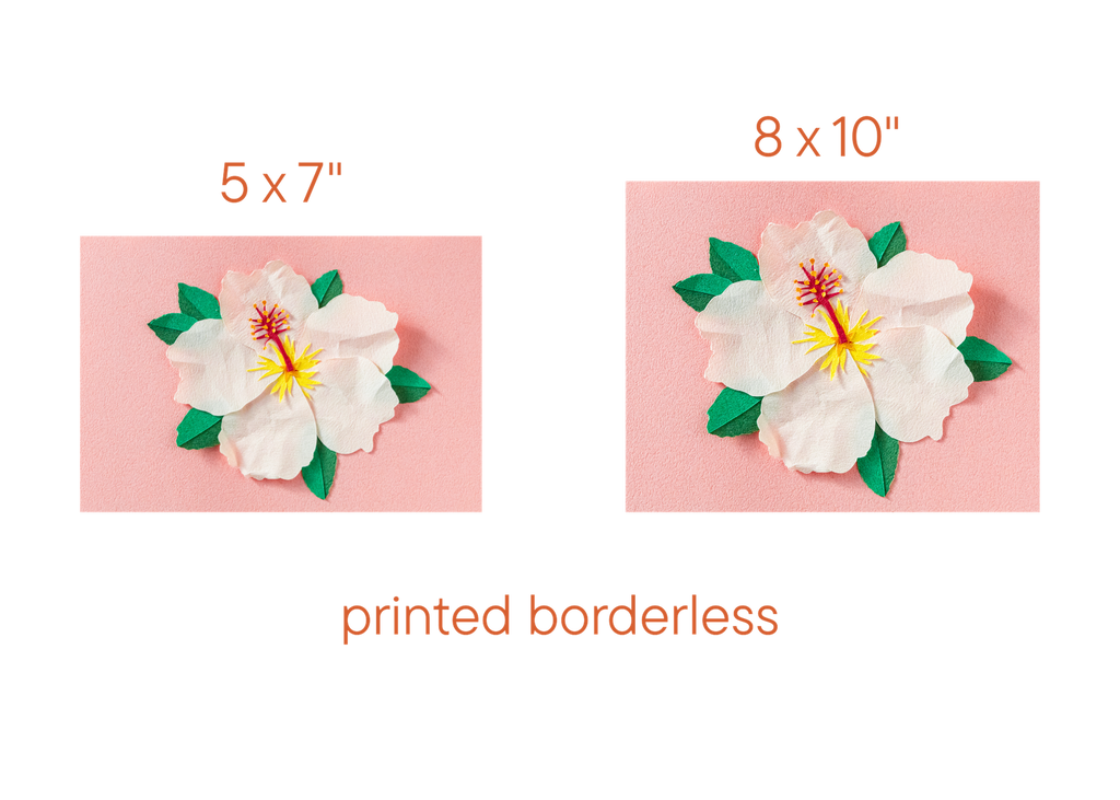 White Hibiscus - Print