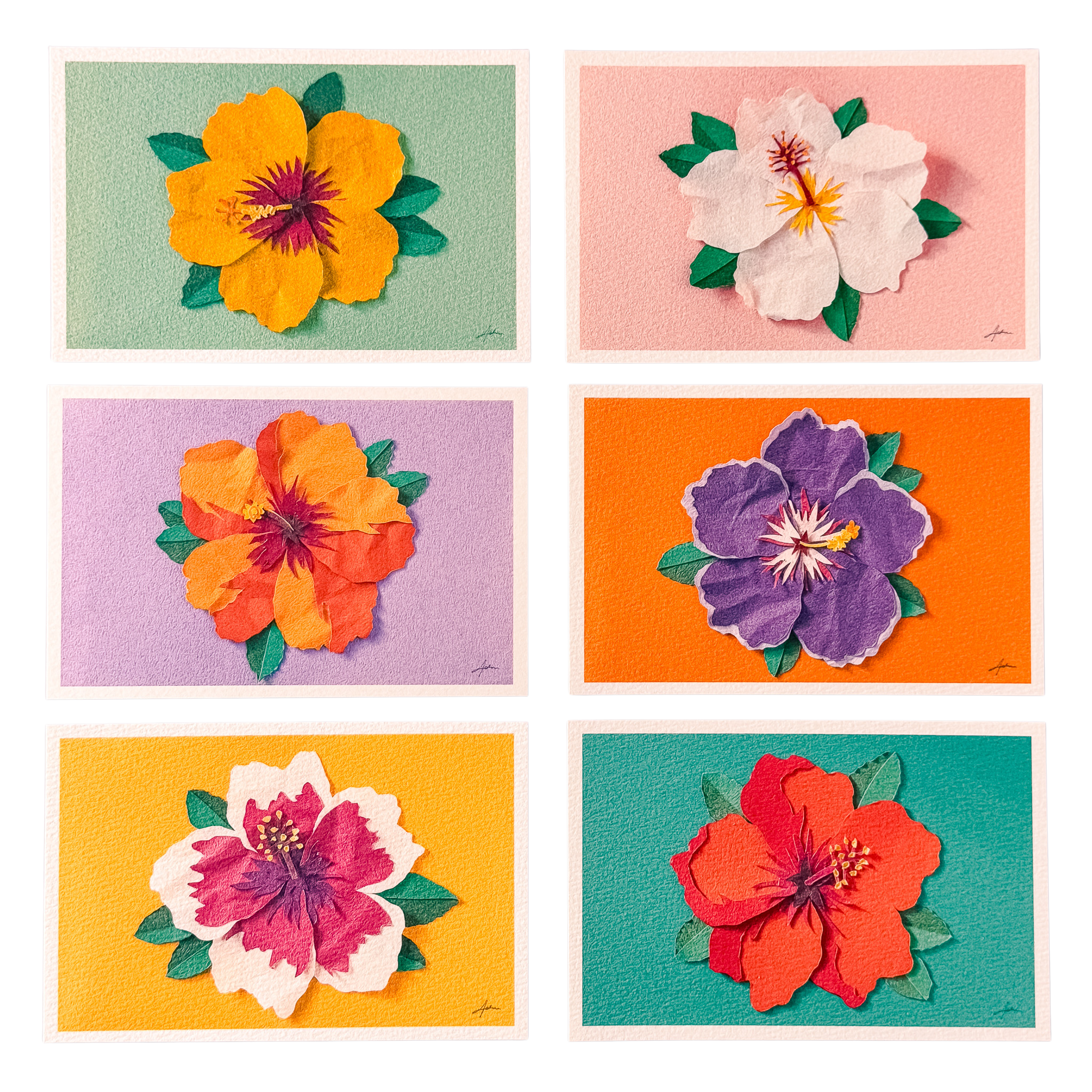 Hibiscus - Postcard Set