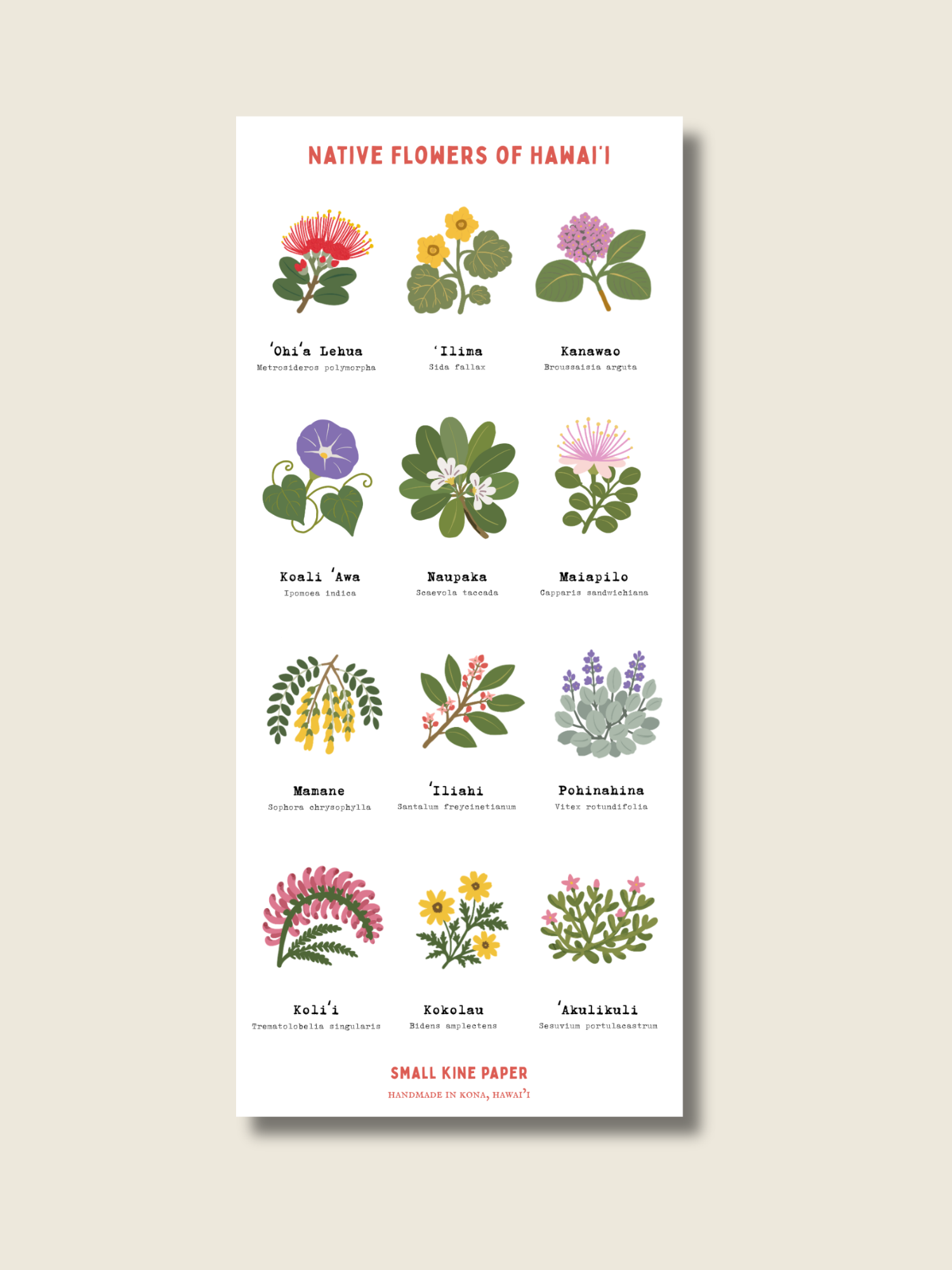 Native Flowers Sticker Sheet