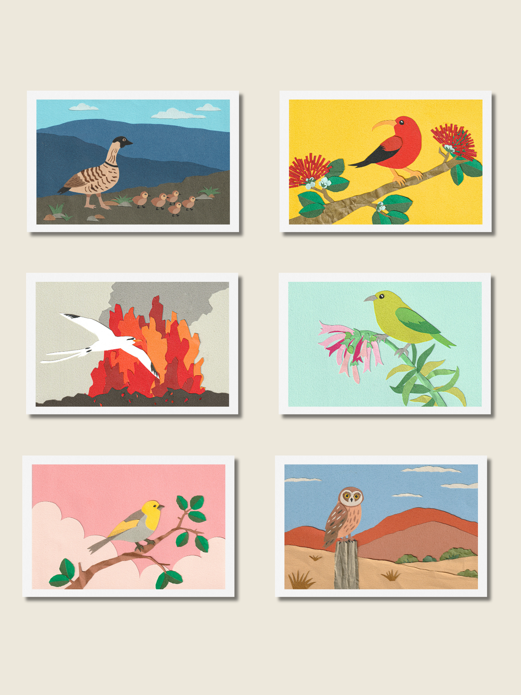 Native Birds - Postcard Set