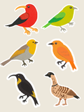 Native Birds Vinyl Sticker Pack