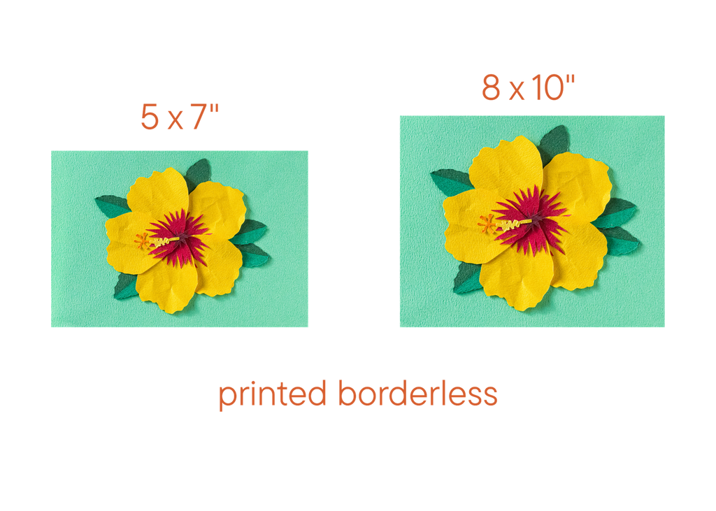 Yellow Hibiscus - Print