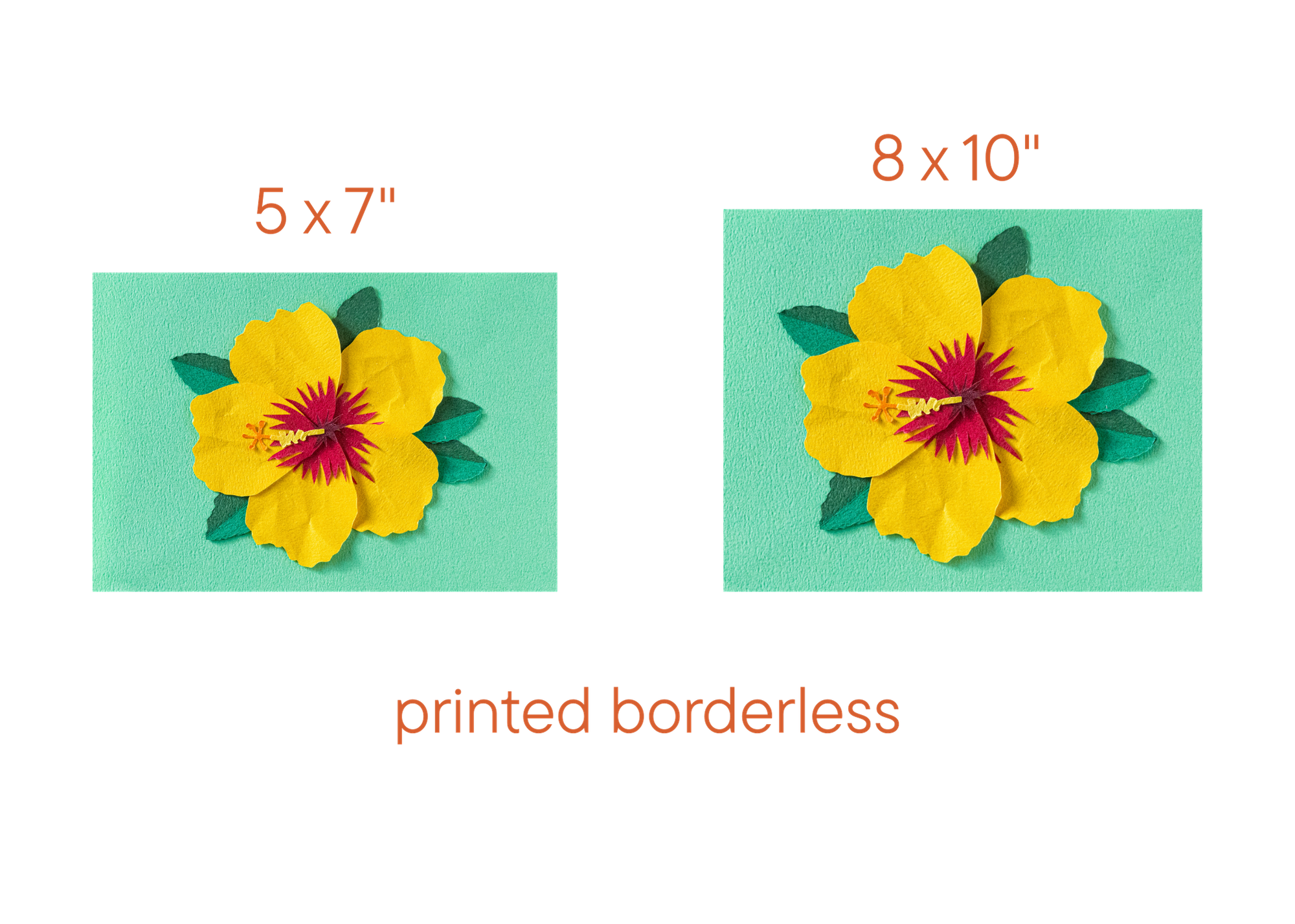 Yellow Hibiscus - Print