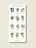 Canoe Plants Sticker Sheet