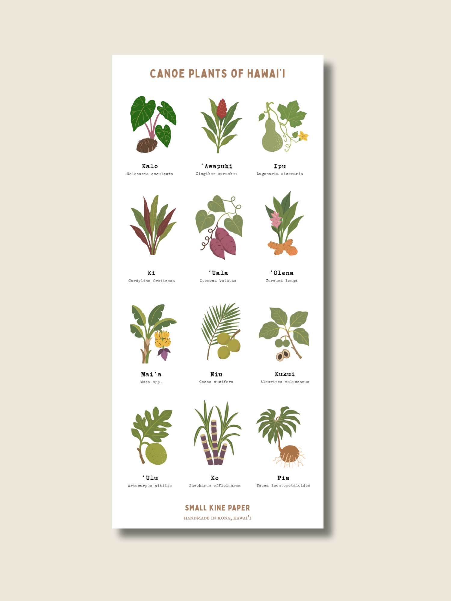Canoe Plants Sticker Sheet