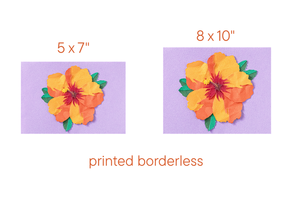 Orange Hibiscus - Print
