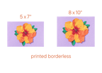 Orange Hibiscus - Print