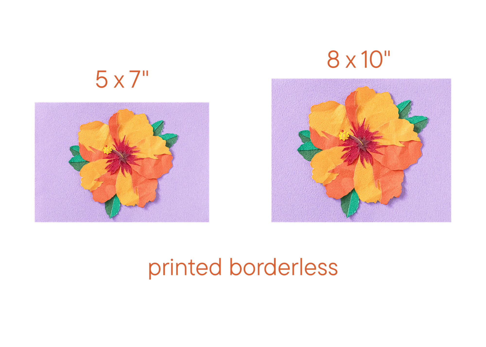 Orange Hibiscus - Print