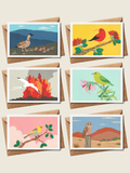 Native Birds - Folded Card Set