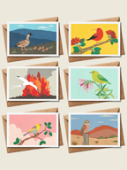 Native Birds - Folded Card Set