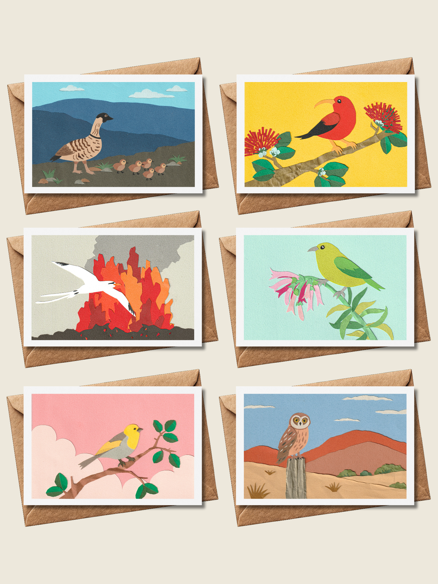 Native Birds - Folded Card Set