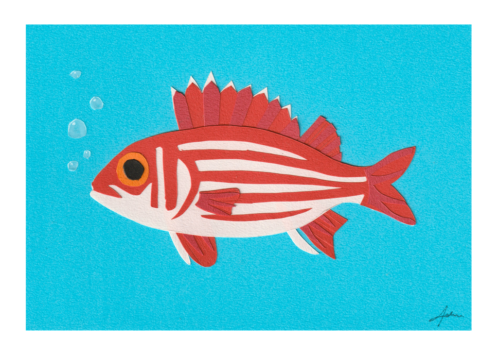 Hawaiian Squirrelfish - Print