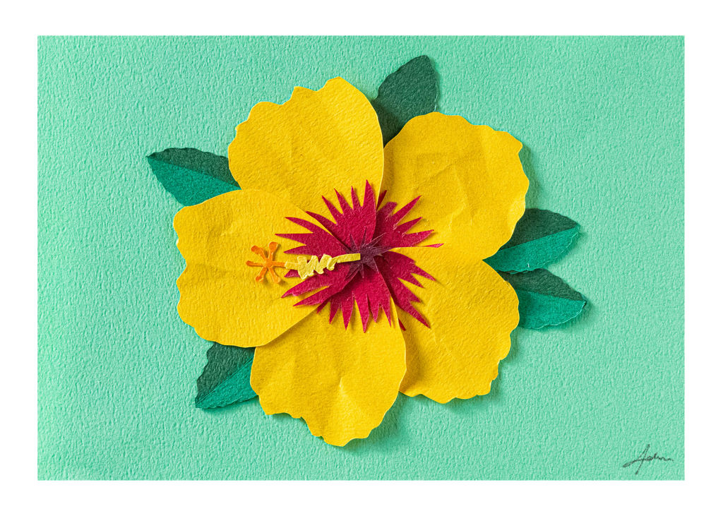 Yellow Hibiscus - Print