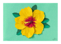 Yellow Hibiscus - Print