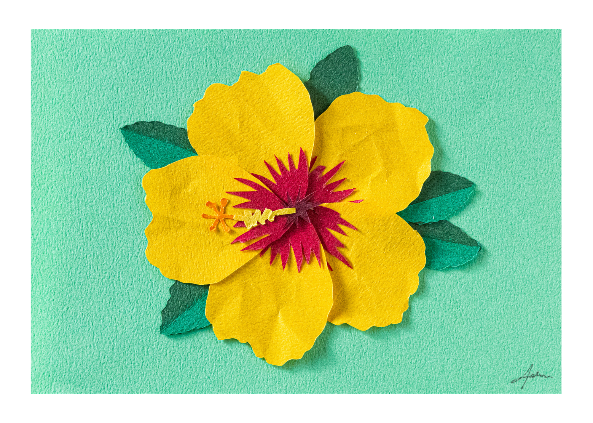 Yellow Hibiscus - Print
