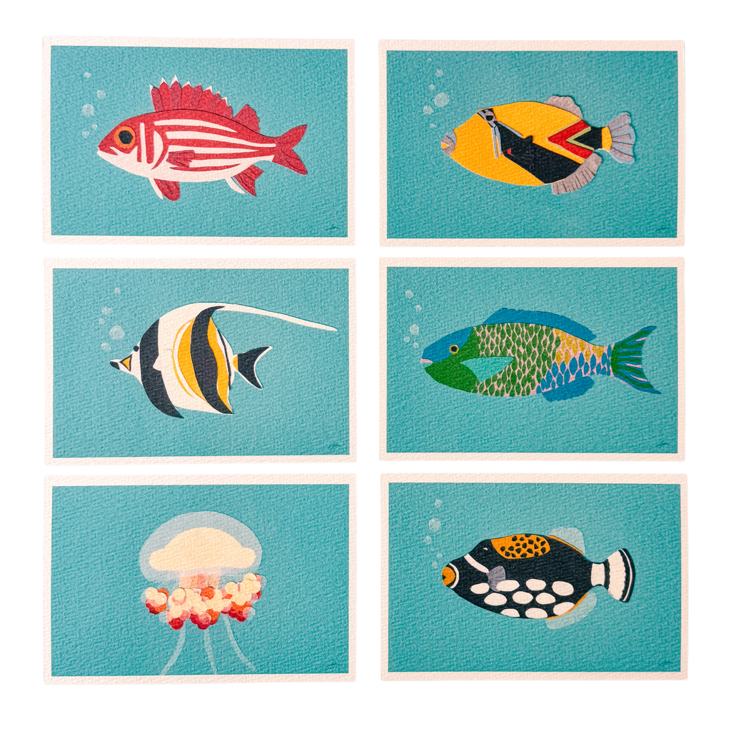 Reef Fish - Postcard Set