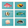 Reef Fish - Postcard Set