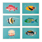 Reef Fish - Postcard Set