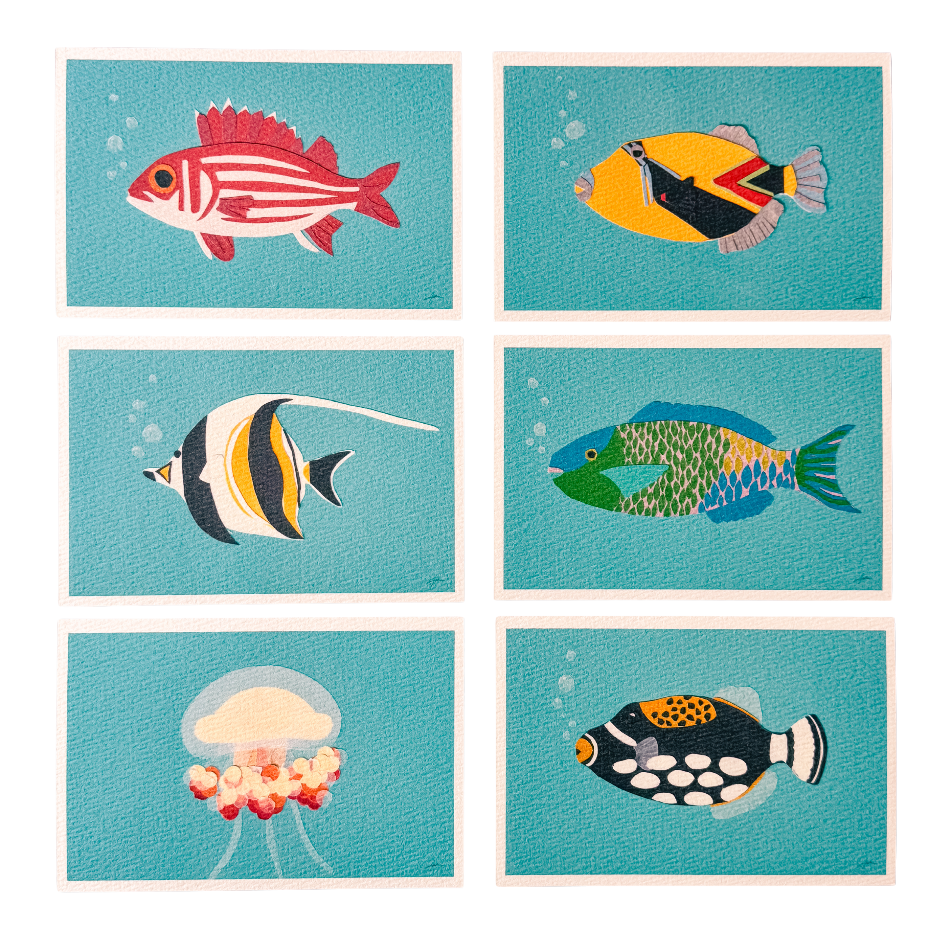 Reef Fish - Postcard Set
