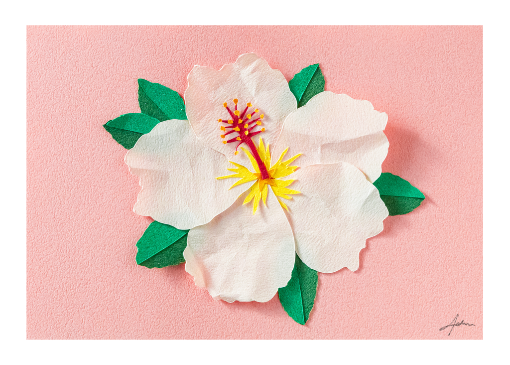 White Hibiscus - Print