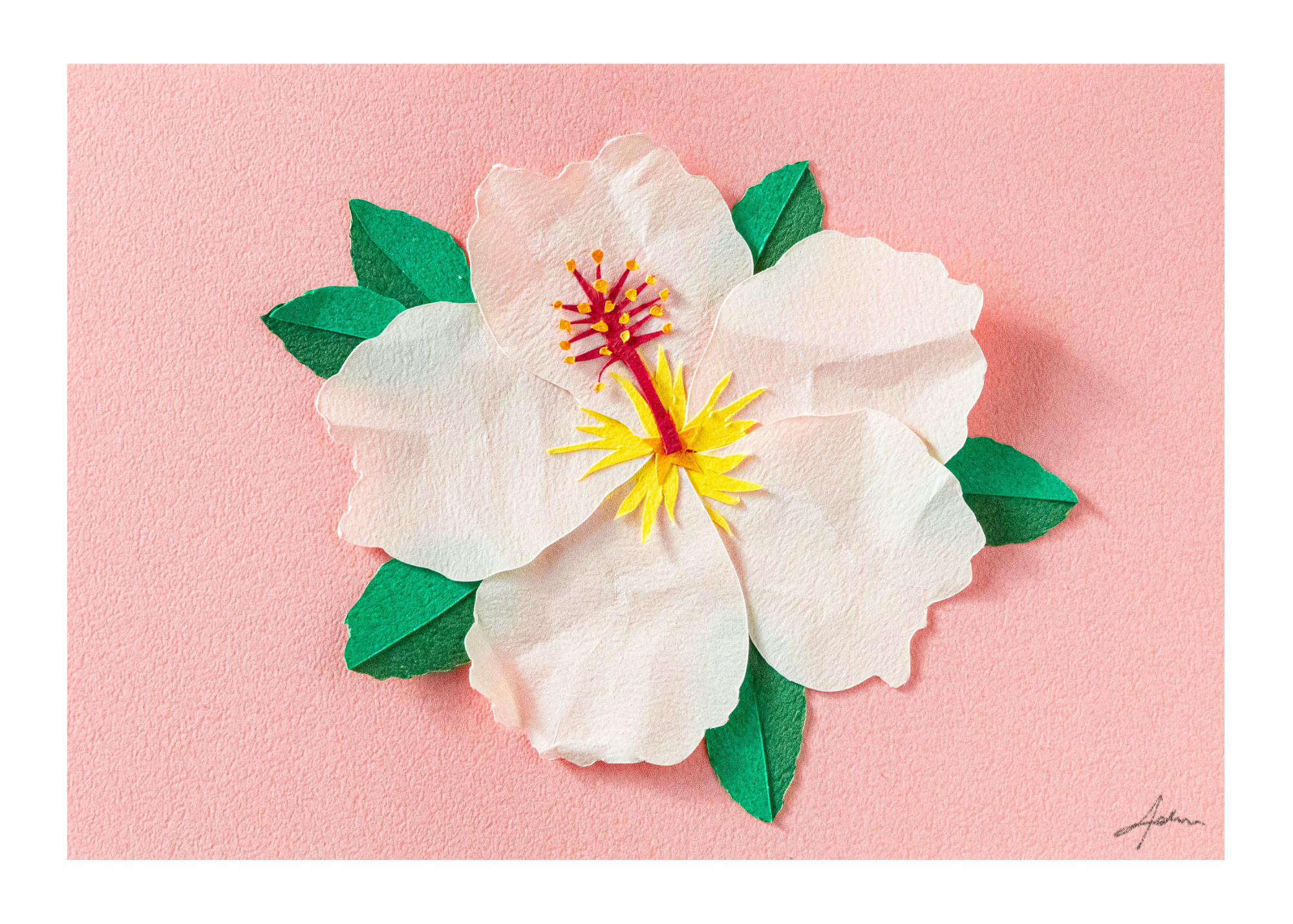 White Hibiscus - Print