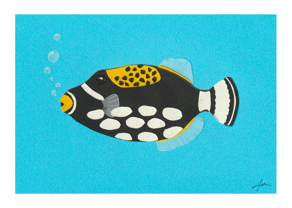 Clown Triggerfish - Print