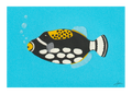 Clown Triggerfish - Print