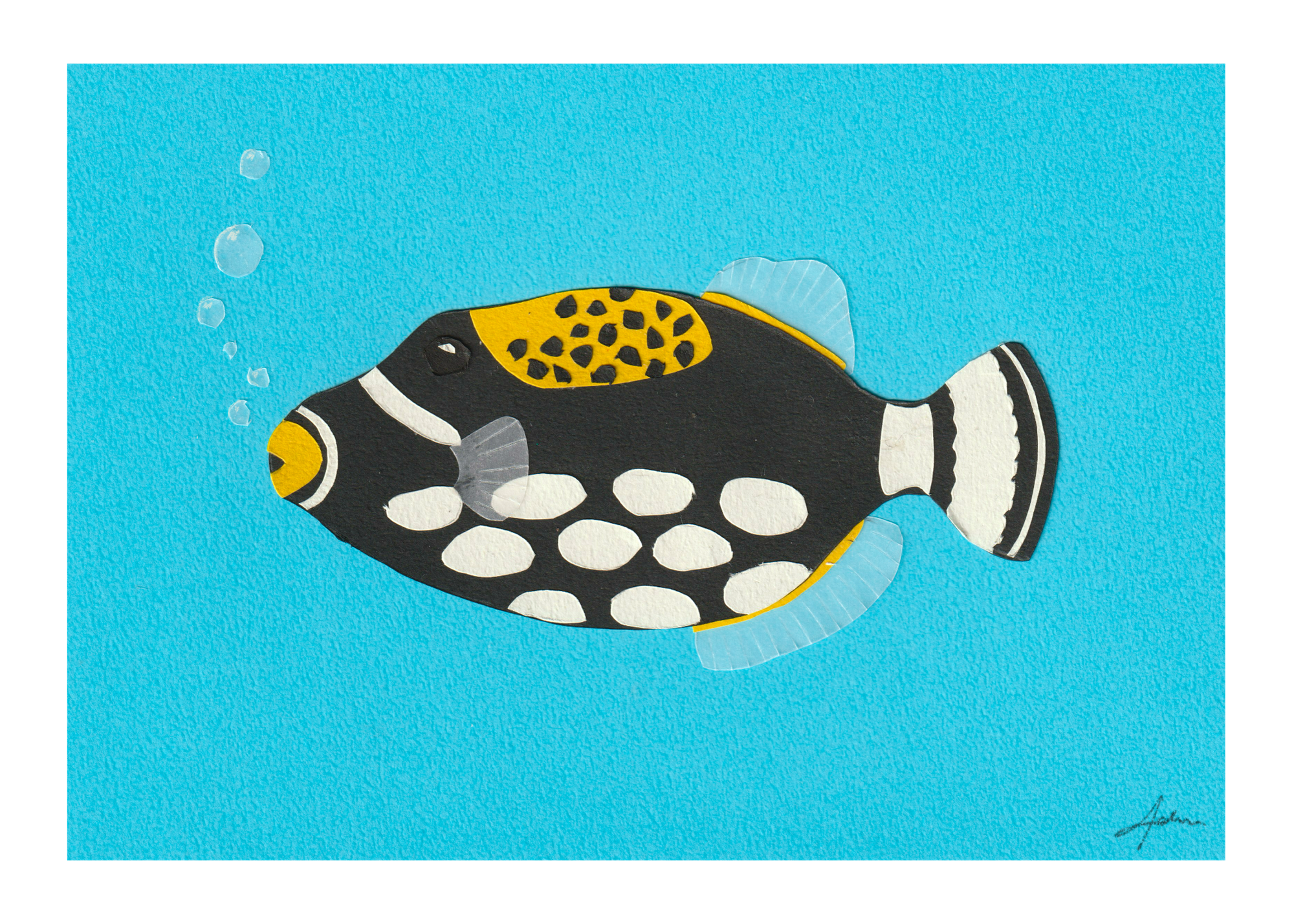 Clown Triggerfish - Print