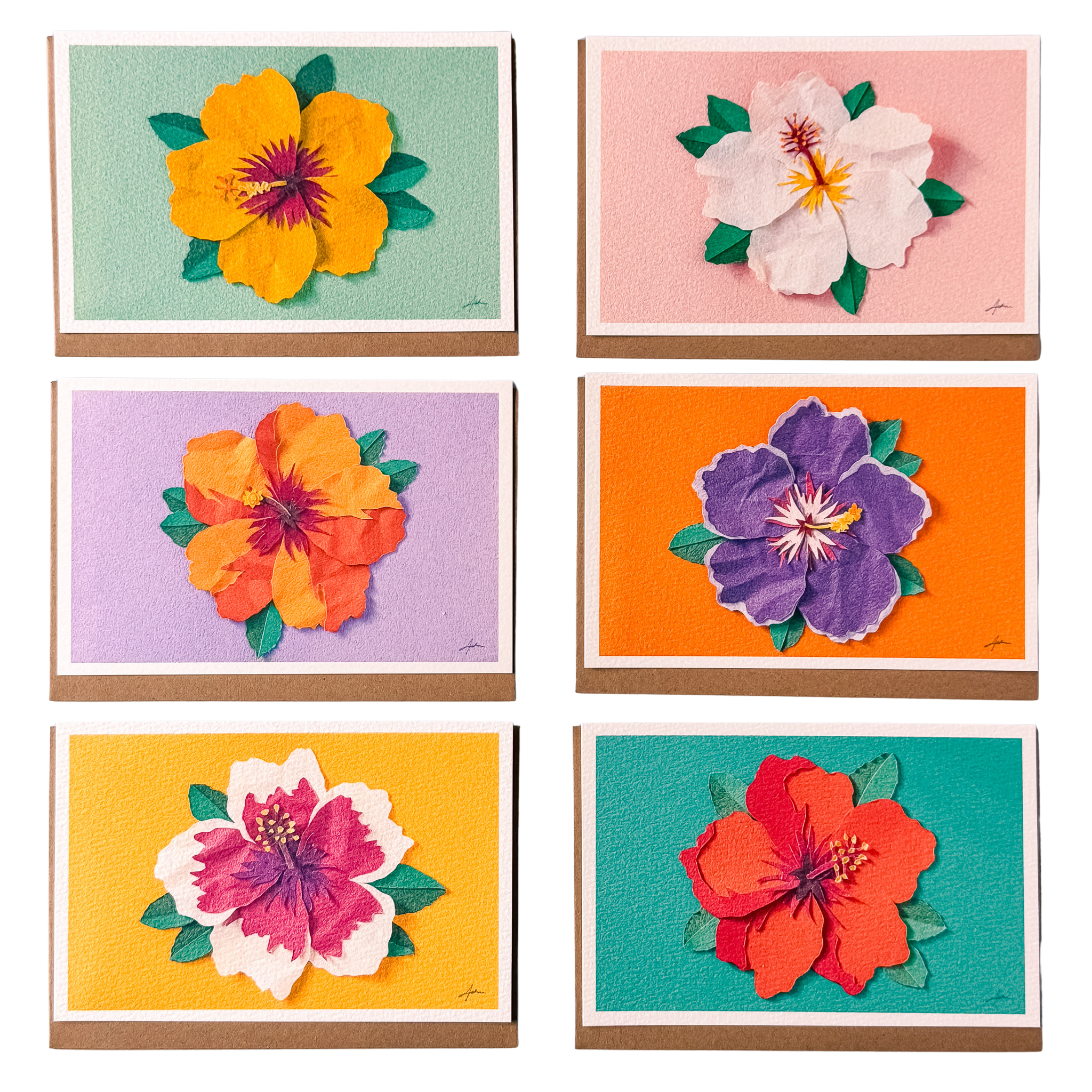 Hibiscus - Folded Card Set