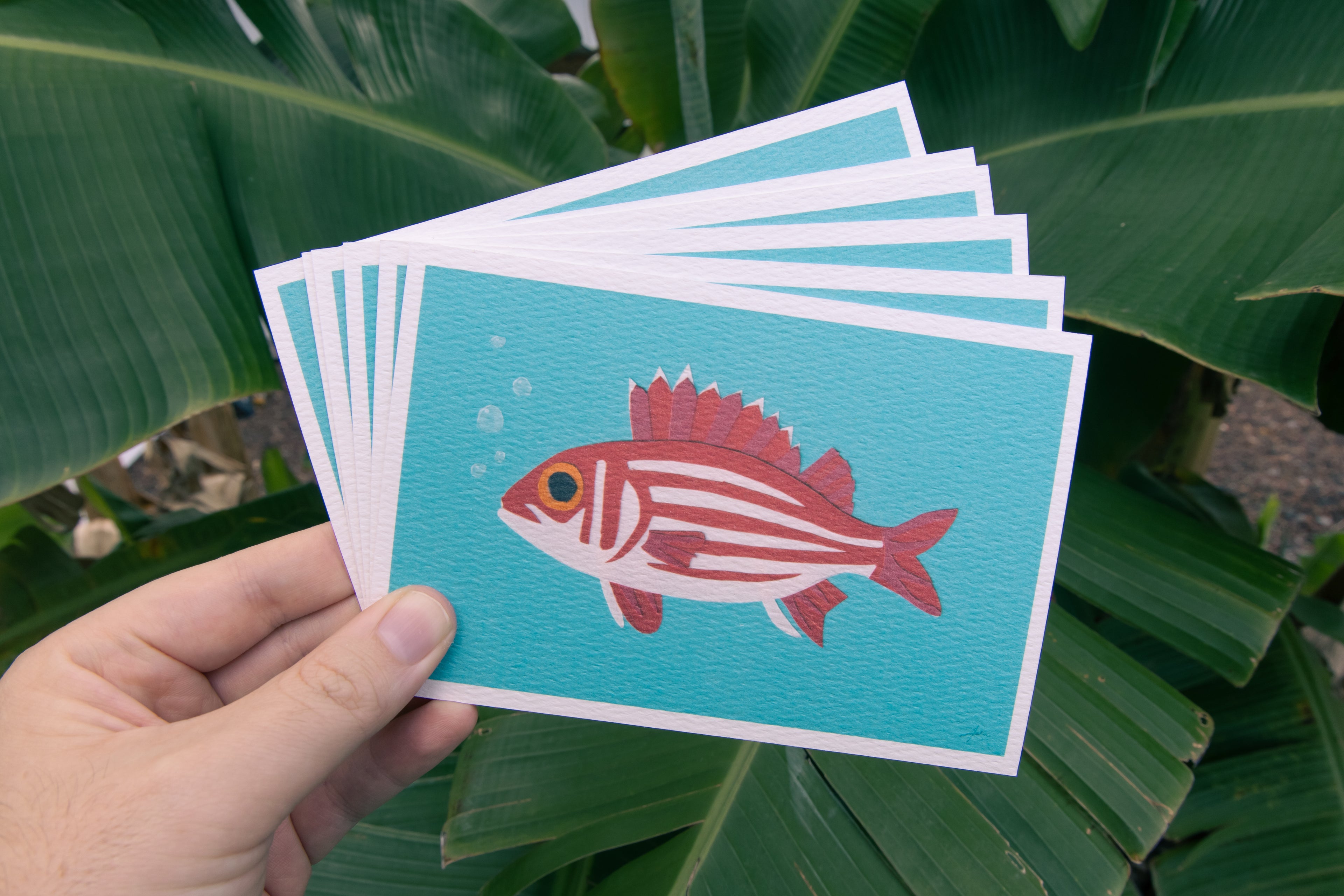 Reef Fish - Postcard Set