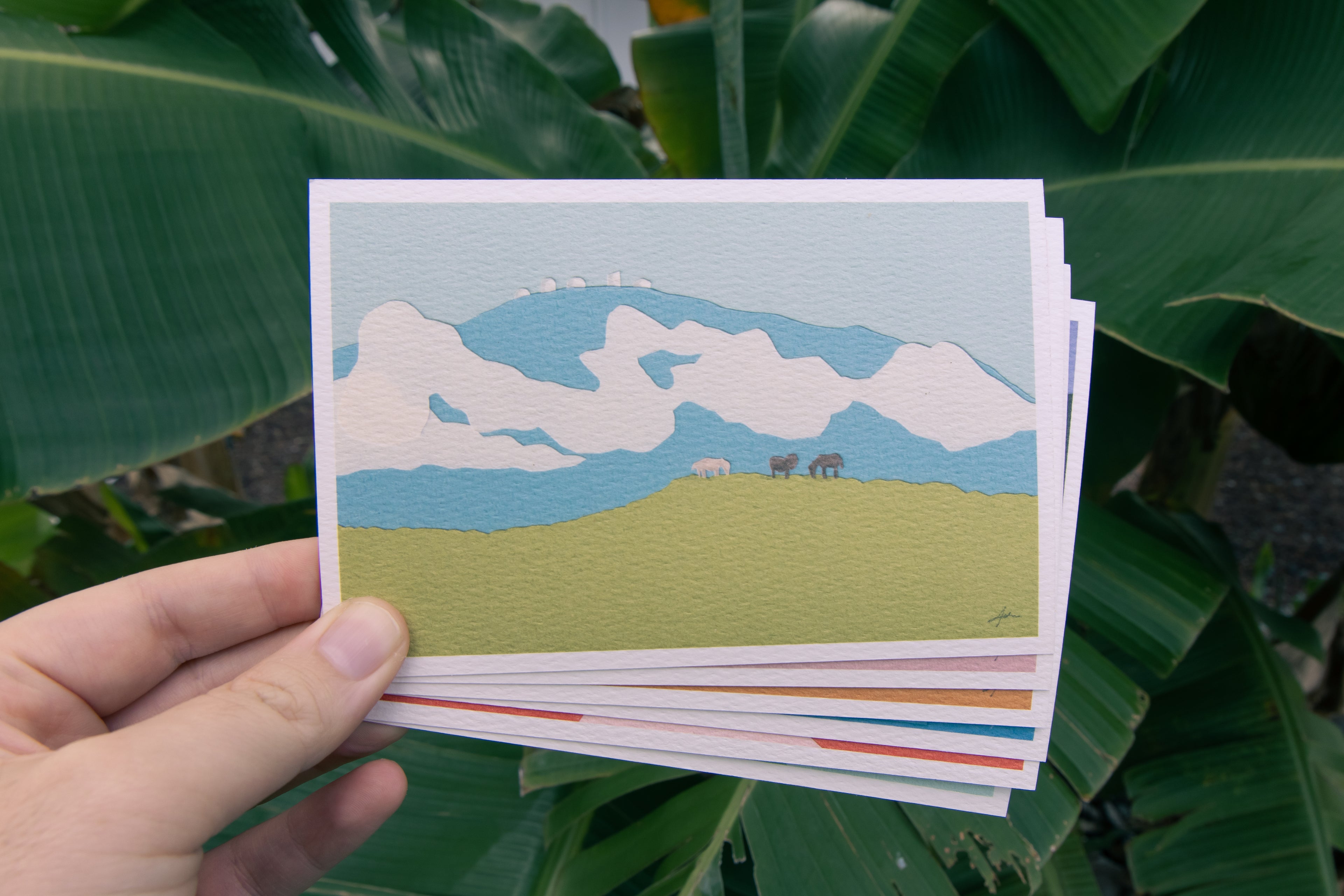 Hawai'i Island - Postcard Set