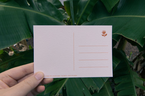 Hawai'i Island - Postcard Set