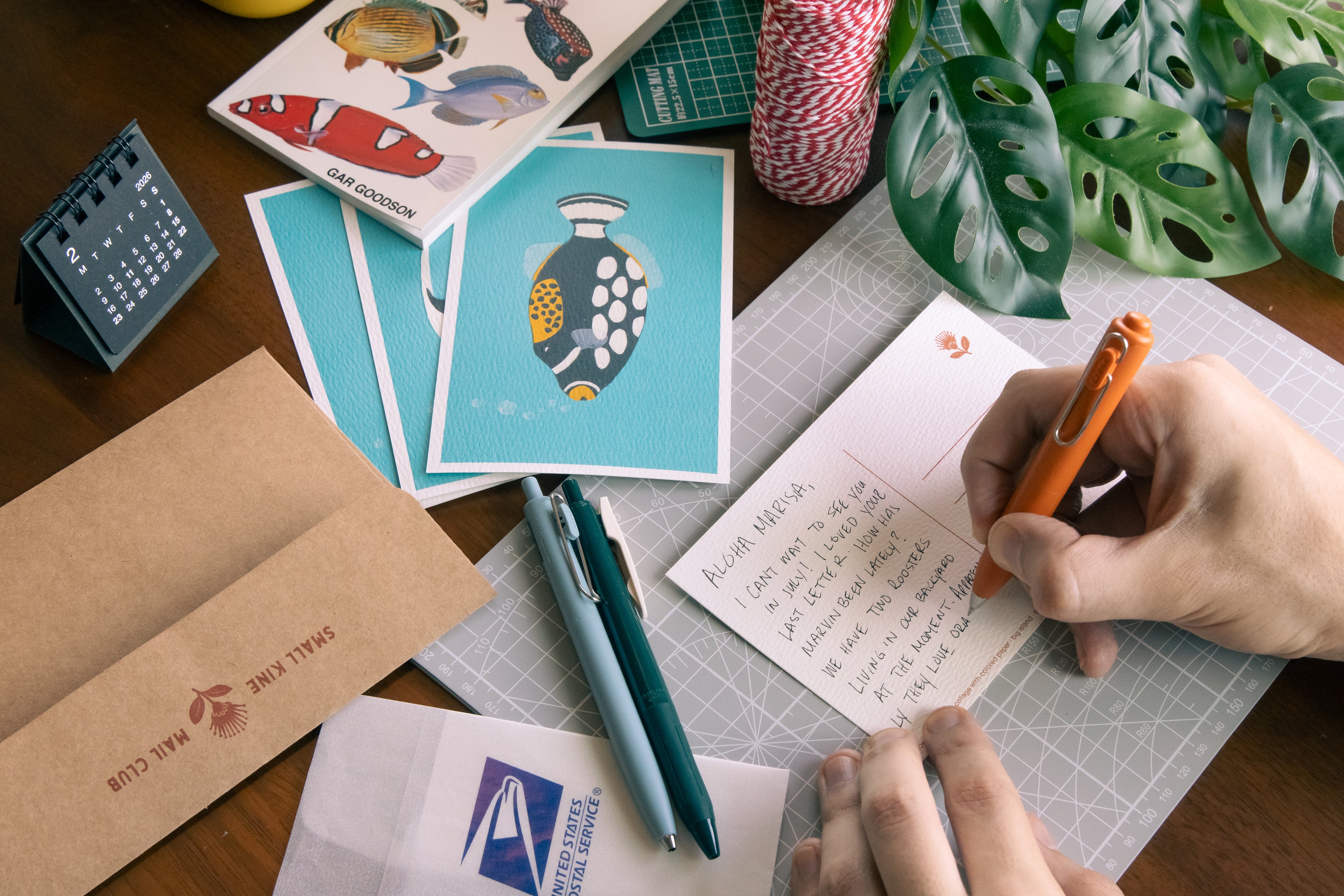 Hibiscus - Postcard Set