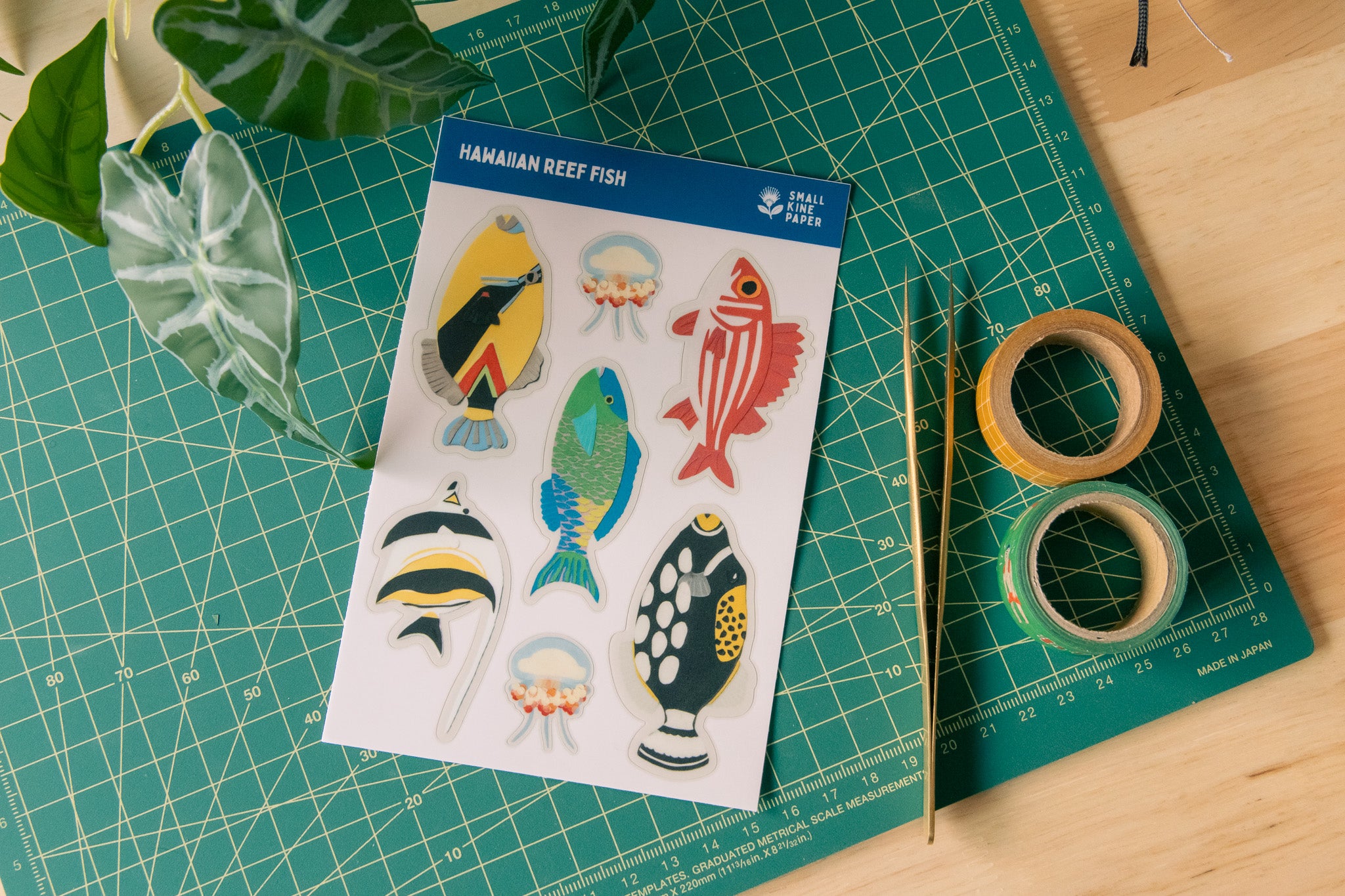 Reef Fish Sticker Sheet
