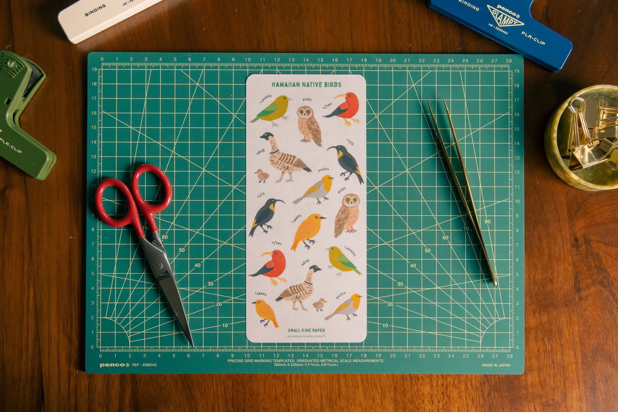 Native Birds Sticker Sheet