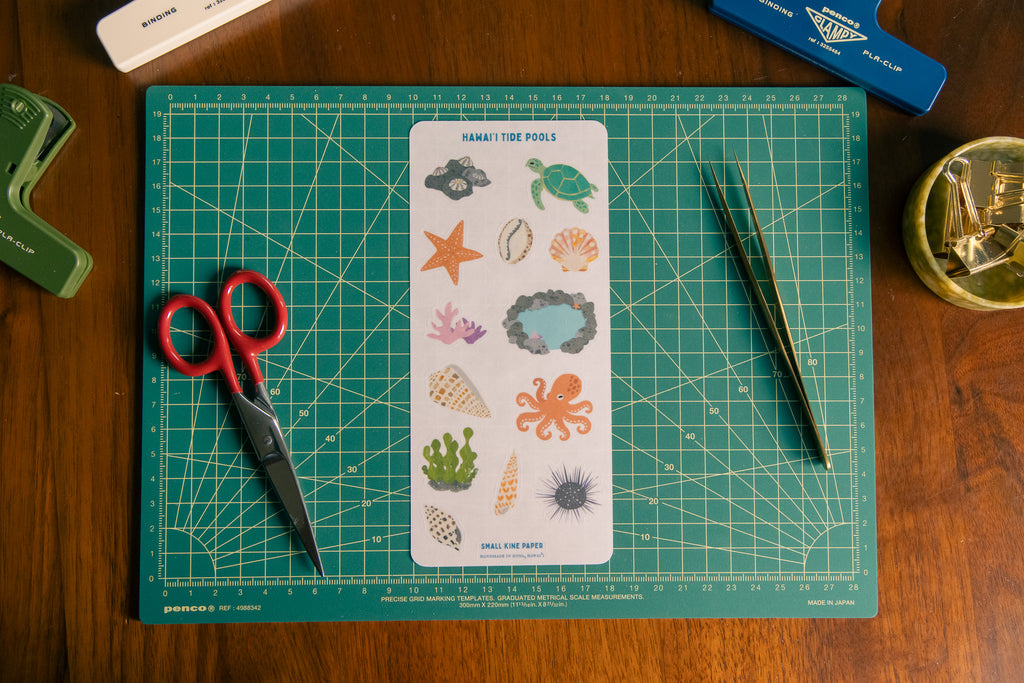 Tide Pools Sticker Sheet