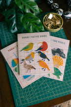 Native Birds Vinyl Sticker Pack