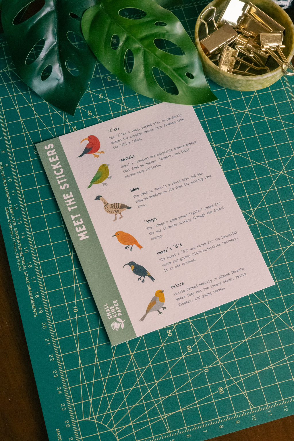 Native Birds Vinyl Sticker Pack