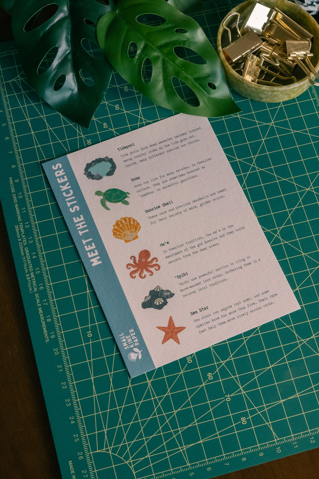 Tidepool Vinyl Sticker Pack