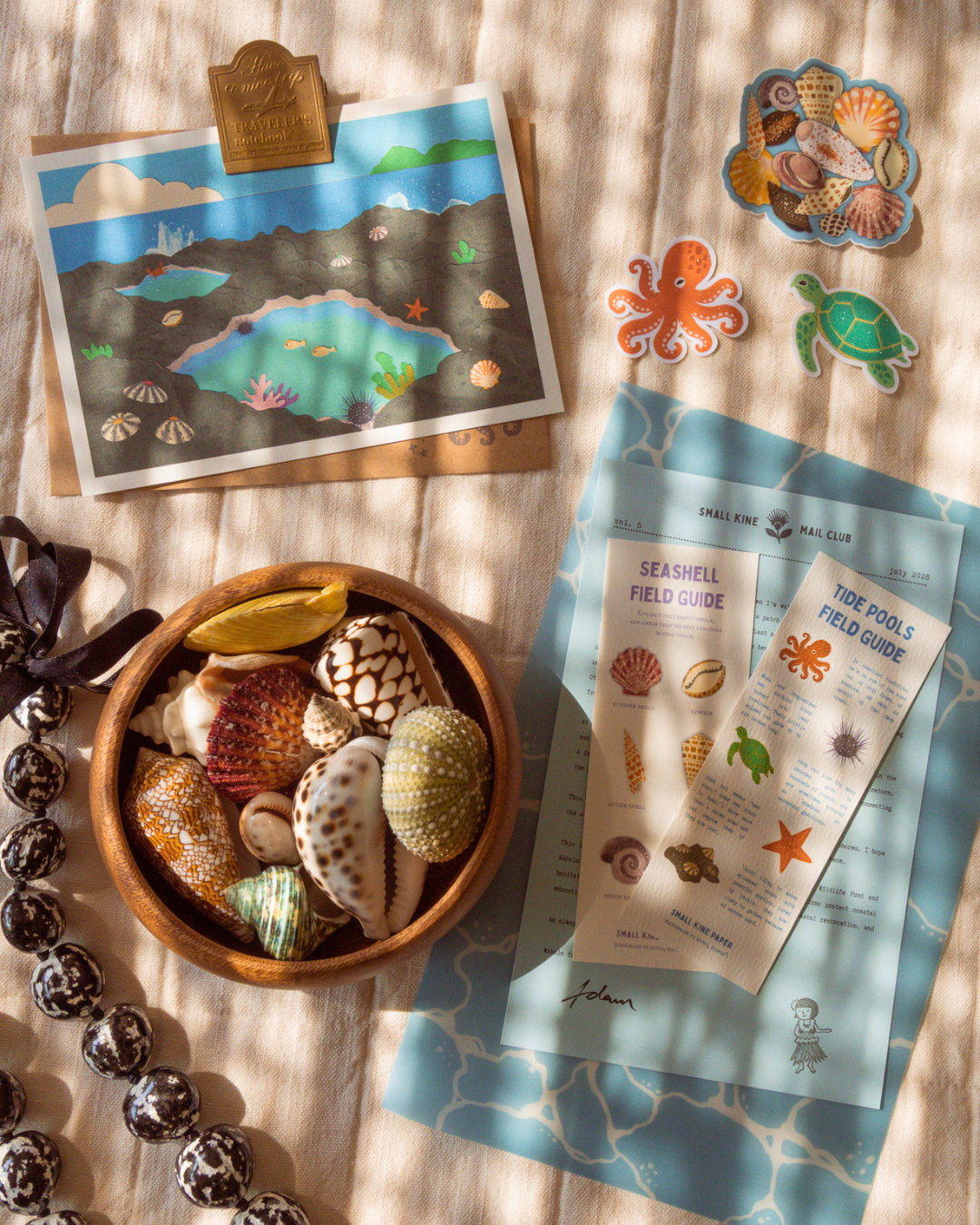 Snail Mail Club — July 2026 Edition (Catch-Up)